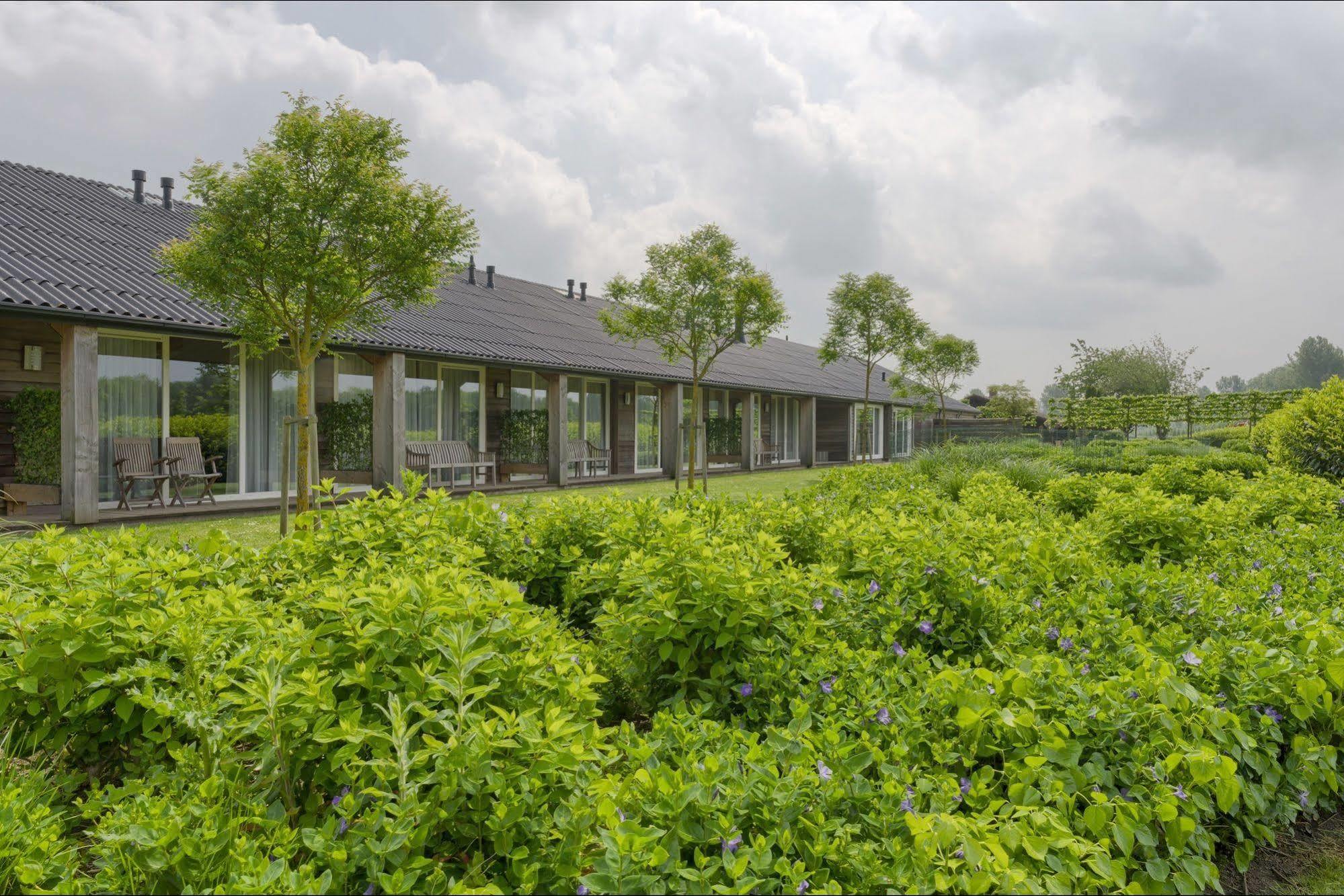 Lodgerie Het Groene Geheim อัลเมียเรอ ภายนอก รูปภาพ