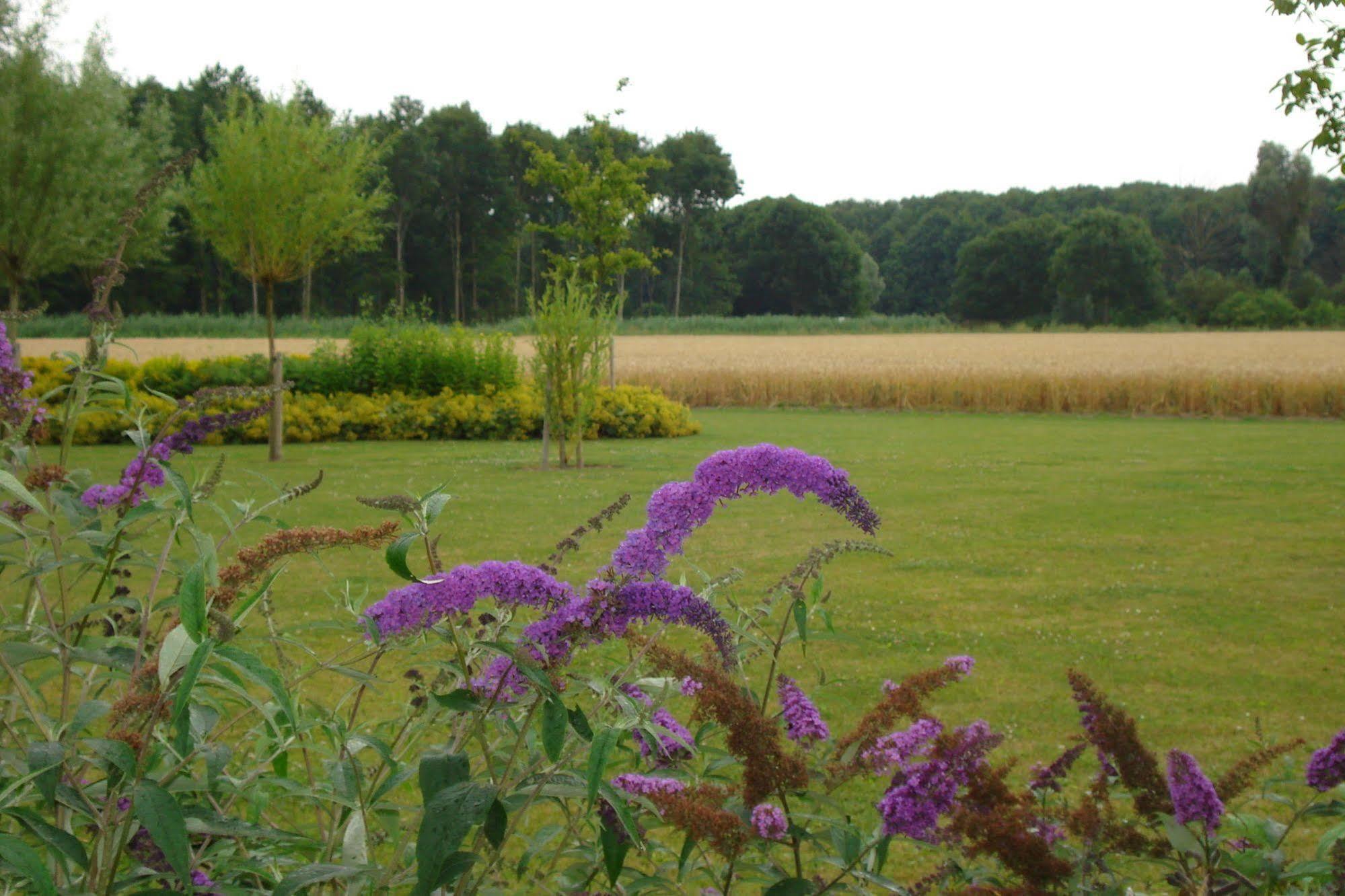 Lodgerie Het Groene Geheim อัลเมียเรอ ภายนอก รูปภาพ