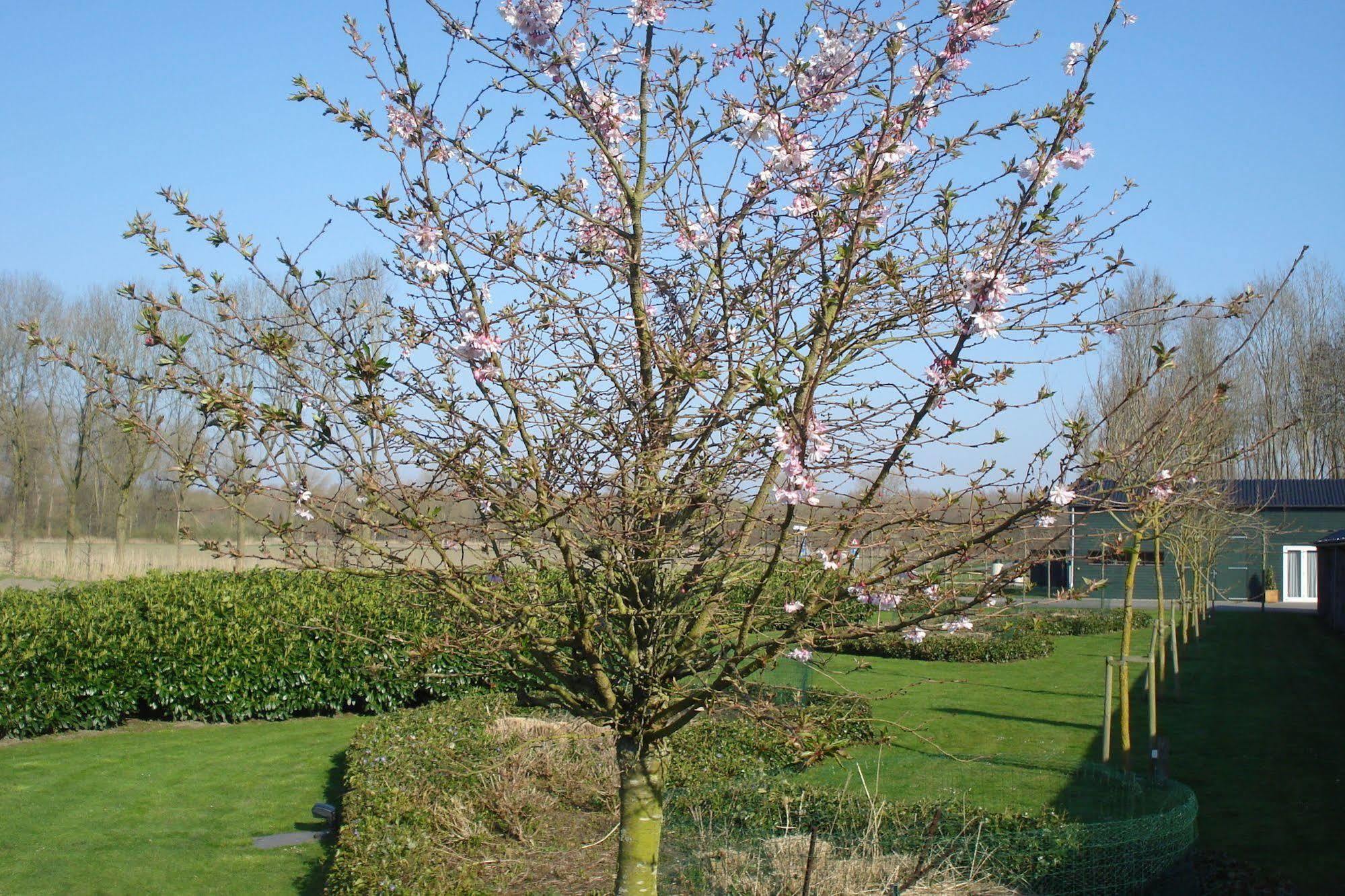 Lodgerie Het Groene Geheim อัลเมียเรอ ภายนอก รูปภาพ